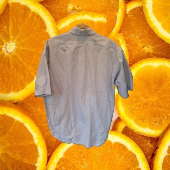 RALPH Lauren Blake Light Blue With Colorful Embroidered Logo Size Large - Picture 4 of 4